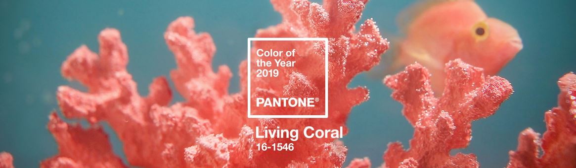 Pantone 2019 living coral tusmamparas valencia baño ducha